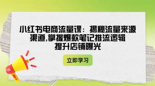 [支持免费下载]小红书电商流量课：揭秘流量来源渠道，掌握爆款笔记推流逻辑，提升店铺曝光