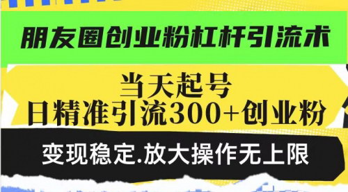 [支持免费下载]付费流量投放秘籍：99元撬动500+创业粉的实操教程