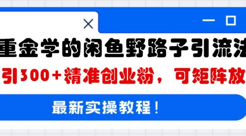 [支持免费下载]闲鱼引流秘籍：日引300+精准创业粉，轻松实现流量变现