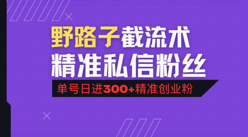 [支持免费下载]《抖音评论区引流秘籍：精准私信粉丝，单号日引流300+精准创业粉》