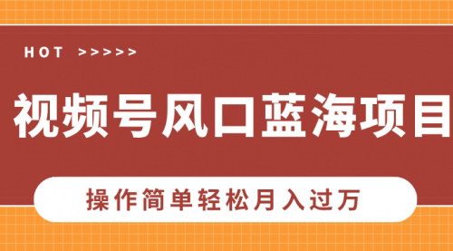 [支持免费下载]【视频号蓝海项目】中老年人流量密码，操作简单轻松月入过万