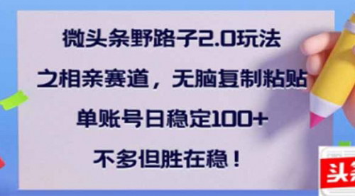 [支持免费下载]【独辟蹊径：微头条相亲赛道2.0玩法揭秘】——稳定收益新策略