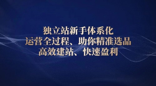 [支持免费下载]【独立站运营全攻略】新手体系化运营全过程，精准选品、高效建站、快速盈利