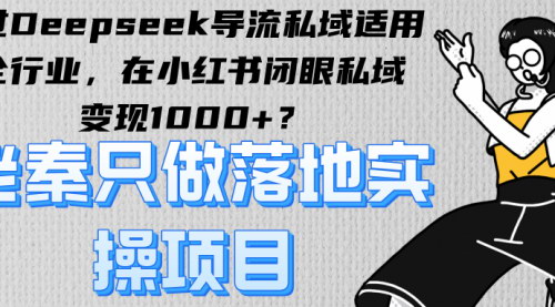 [支持免费下载]DeepSeek导流私域变现：全行业适用，小红书闭眼私域变现1000+