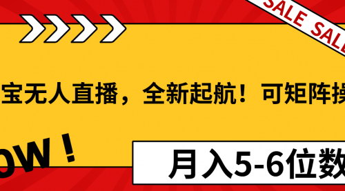 [支持免费下载]【淘宝无人直播】全新起航，矩阵操作，月入5-6位数！