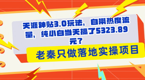 [支持免费下载]【天涯神贴3.0玩法】自带热度流量，纯小白当天搞了5323.89元