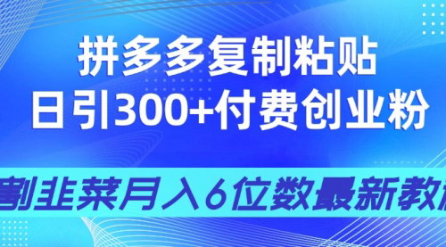 [支持免费下载]拼多多引流创业粉全攻略：日引300+付费粉，稳定日入3000+的秘密