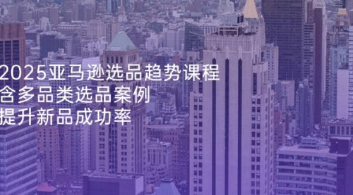 [支持免费下载]2025年亚马逊跨境电商选品趋势：多品类案例解析，提高新品成功率