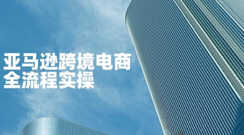 [支持免费下载]亚马逊跨境电商全流程实操：从零开始掌握店铺运营与广告技巧