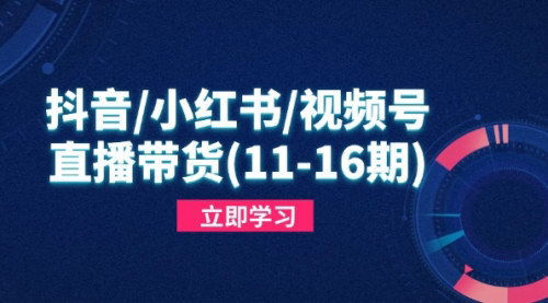 [支持免费下载]抖音/小红书/视频号/直播带货全攻略：快速掌握平台规则，打造爆款内容