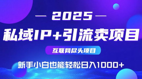 [支持免费下载]2025年知识付费终极变现指南：私域IP+卖项目，实现日入1000+