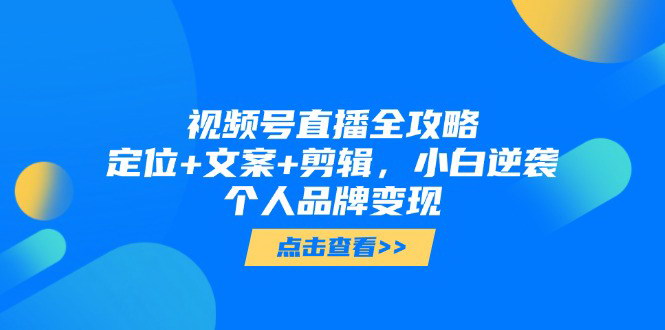 [支持免费下载]【视频号直播全攻略】小白逆袭，打造个人品牌变现