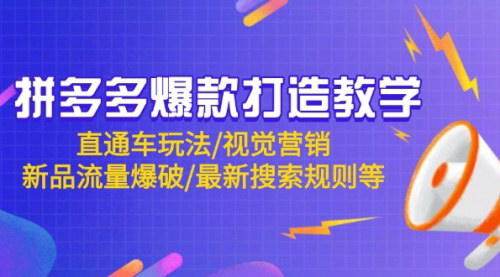 [支持免费下载]【拼多多爆款打造教学】2024-2025年实战运营策略，从直通车到新品流量爆破！