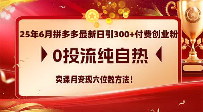 [支持免费下载]【2025年6月拼多多引流攻略】日引300+付费创业粉，月入六位数变现方法