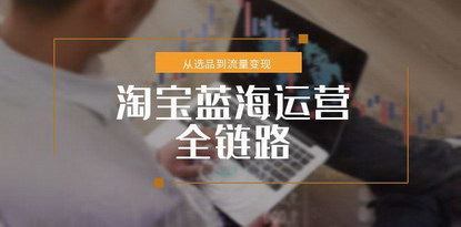 [支持免费下载]《淘宝蓝海运营全链路：小类目突围策略，从选品到流量变现》