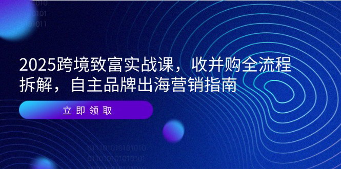 [支持免费下载]【2025跨境出海实战课】收并购全流程拆解与自主品牌出海营销指南