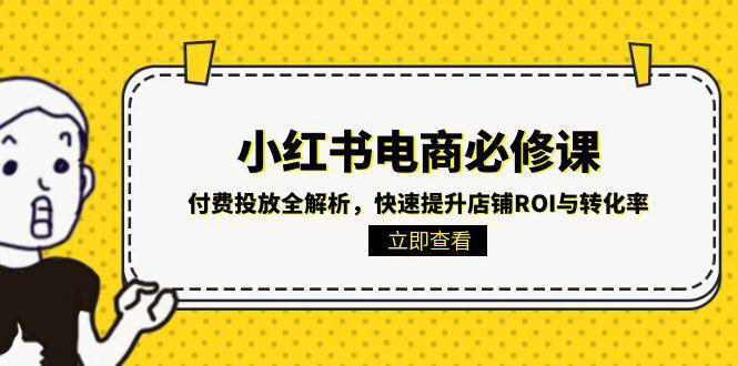 [支持免费下载]【小红书电商攻略】精通付费投放，高效提升店铺ROI与转化率