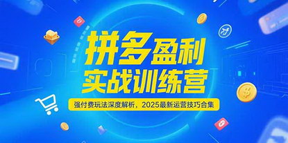 [支持免费下载]《拼多多盈利实战训练营：强付费玩法深度解析与2025运营技巧合集》