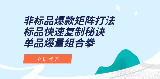 [支持免费下载]【电商爆款矩阵打法】单品暴力起量9大核心玩法揭秘