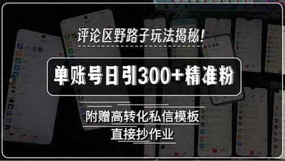 [支持免费下载]揭秘抖音评论区截流新玩法：单账号日引300+精准粉