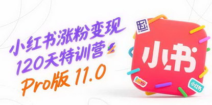 [支持免费下载]小红书涨粉变现120天特训营Pro版11.0：从0到1，解锁高变现赛道运营密码