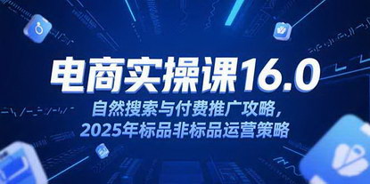[支持免费下载]《淘宝电商运营课16.0：2025自然搜索与付费推广全攻略，标非标品策略揭秘》