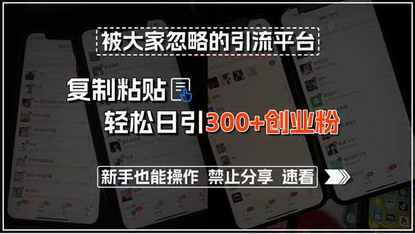 [支持免费下载]招聘平台引流秘籍：日引400+创业粉，小白也能轻松上手