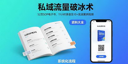 [支持免费下载]掌握私域流量运营秘籍：全链路实战策略与案例分析