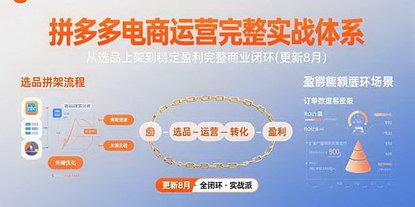 [支持免费下载]拼多多电商运营进阶课：从底层逻辑到稳定盈利的完整闭环
