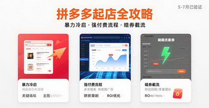 [支持免费下载]拼多多高阶运营全攻略：暴力起店与强付费流程详解