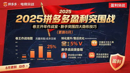 [支持免费下载]2025拼多多盈利突围战：新手突破瓶颈，掌握稳定盈利技巧