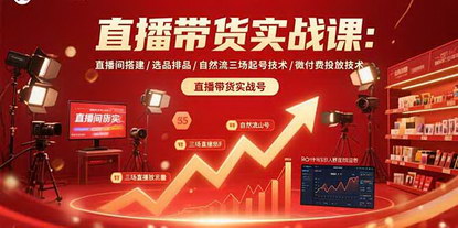 [支持免费下载]抖音直播带货全攻略：从直播间搭建到自然流起号，掌握微付费投放技巧