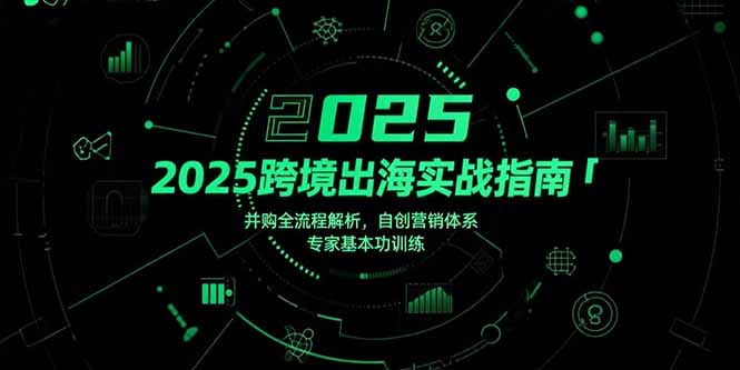 [支持免费下载]2025跨境出海全攻略：从并购实战到营销体系构建
