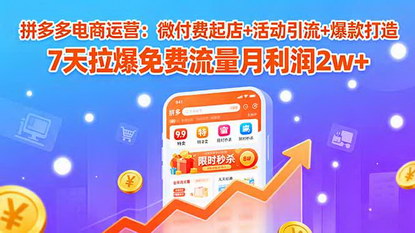 [支持免费下载]拼多多电商运营全攻略：7天拉爆免费流量，月利润2万+