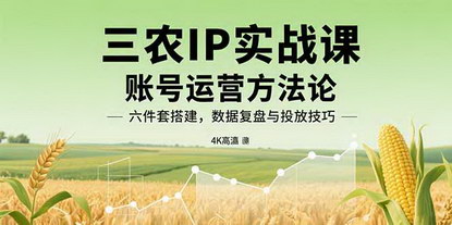 [支持免费下载]三农IP实战课：账号运营方法论，六件套搭建，数据复盘与投放技巧
