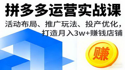 [支持免费下载]2025年拼多多运营实战课：活动布局、推广玩法、投产优化，打造月入3w+赚钱店铺