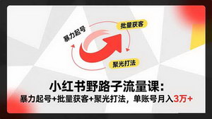 [支持免费下载]小红书野路子流量课：暴力起号+批量获客+聚光打法，单账号月入3万+