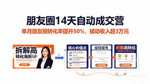 [支持免费下载]朋友圈14天自动成交营：单月转化率飙升50%，被动收入破3万