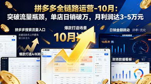 [支持免费下载]拼多多全链路运营10月新课：突破流量瓶颈，单店日销破万，月利润达3-5万