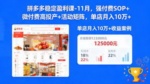 [支持免费下载]拼多多稳定盈利课-11月强付费SOP+微付费高投产+活动矩阵，单店月入10万+