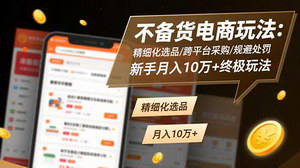 [支持免费下载]无货源电商终极玩法揭秘：精细化选品+跨平台采购+规避处罚，新手轻松月入10万+