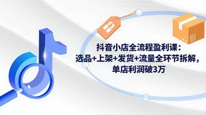 [支持免费下载]抖音小店盈利全攻略：从选品到流量，单店月利润破3万的实战秘籍