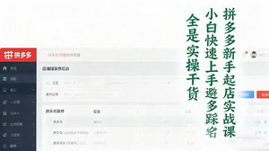 [支持免费下载]拼多多新手起店实战课：小白快速上手运营，避开踩坑，掌握实操干货