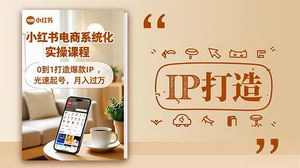 [支持免费下载]小红书流量变现全攻略：0基础打造爆款IP，光速起号月入过万实战指南
