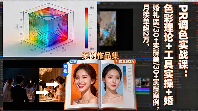 [支持免费下载]PR调色实战课：色彩理论+工具实操+30+实操案例，月接单超2万