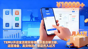 [支持免费下载]TEMU开店全流程实战指南：从注册到月入过万，一站式解决运营难题