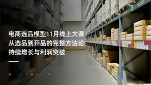 [支持免费下载]11月电商选品模型线上大课：从跟品到开品，实现持续增长与利润突破