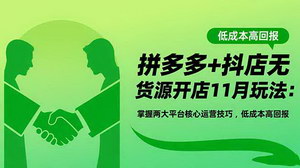 [支持免费下载]2024年11月拼多多+抖店无货源开店实战指南：低成本高回报运营全攻略