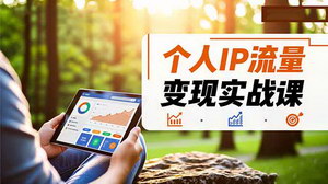 [支持免费下载]个人IP流量变现实战课：多平台引流、打造个人品牌与稳定收益全攻略