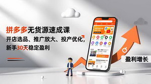 [支持免费下载]拼多多无货源模式30天盈利实战课：开店选品+推广优化+投产放大全攻略